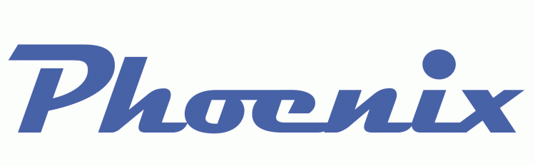 Phoenix Mercury 1997-2010 Wordmark Logo v2 iron on transfers for T-shirts